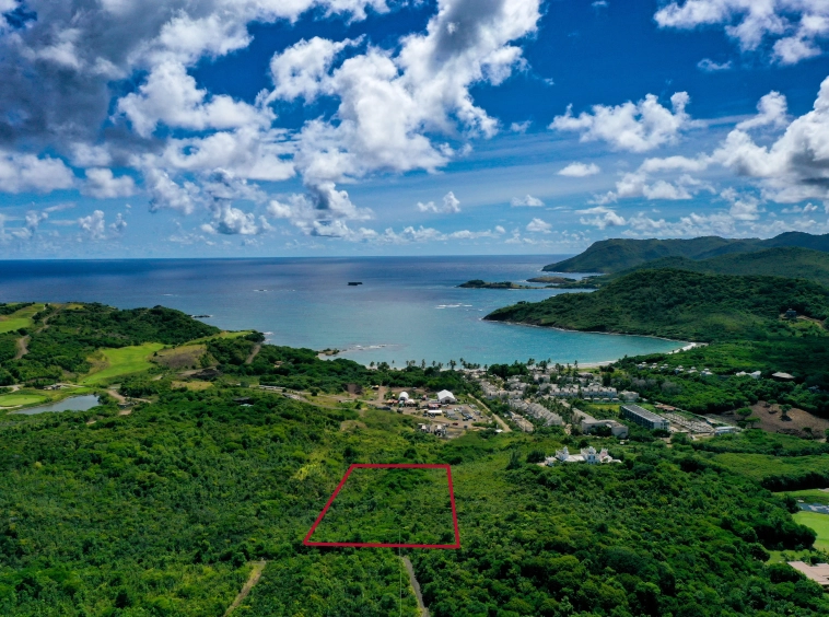 St lucia Realtor Cas En Bas Land No. 89 for sale sea view