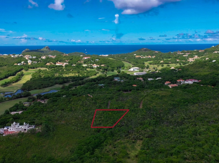 St lucia Realtor Cas En Bas Land No. 89 for sale