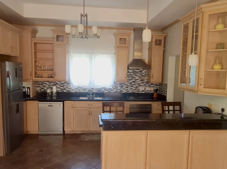 real estate st lucia Birdie Villa For Sale In St Lucia caribbean kitchen