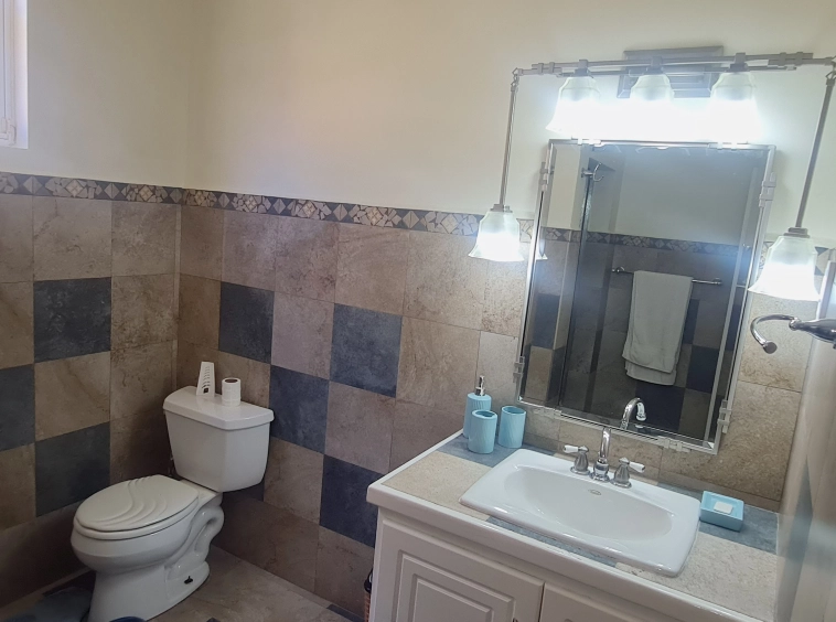 real estate st lucia Birdie Villa For Sale In St Lucia caribbean single bath