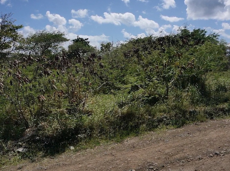 St Lucia real estate Golf Park Land No. 666 for sale cap estate ready to build