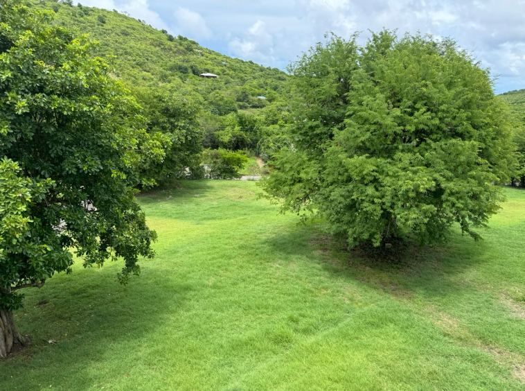 real estate st lucia - Prime Lot in Cas-en-Bas: 8,005 SF for sale tamaring trees