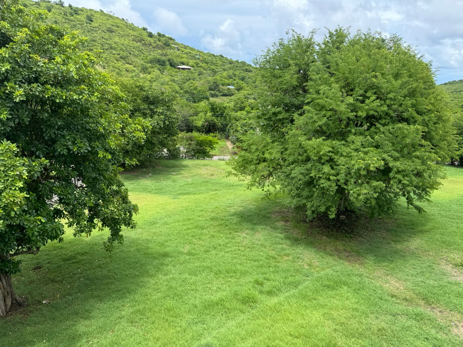 real estate st lucia - Prime Lot in Cas-en-Bas: 8,005 SF for sale tamaring trees