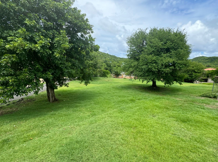 real estate st lucia - Prime Lot in Cas-en-Bas: 8,005 SF for sale trees