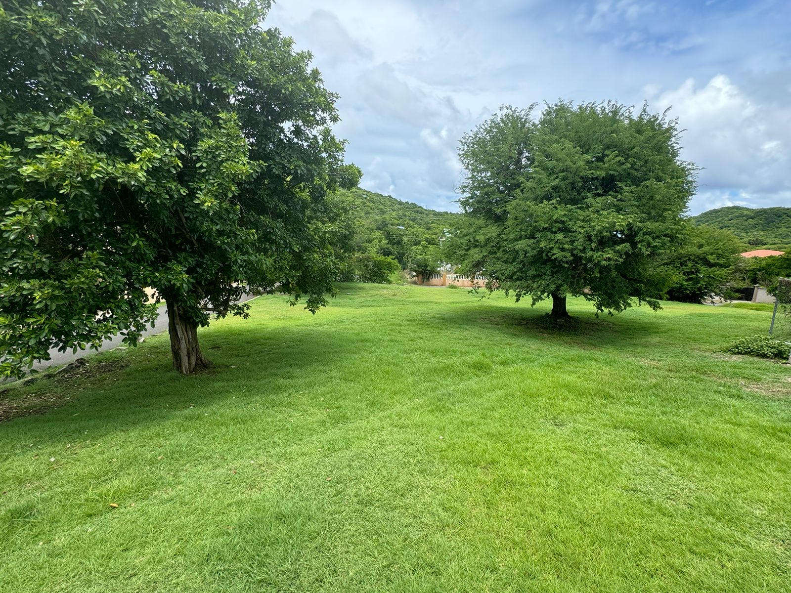 real estate st lucia - Prime Lot in Cas-en-Bas: 8,005 SF for sale trees