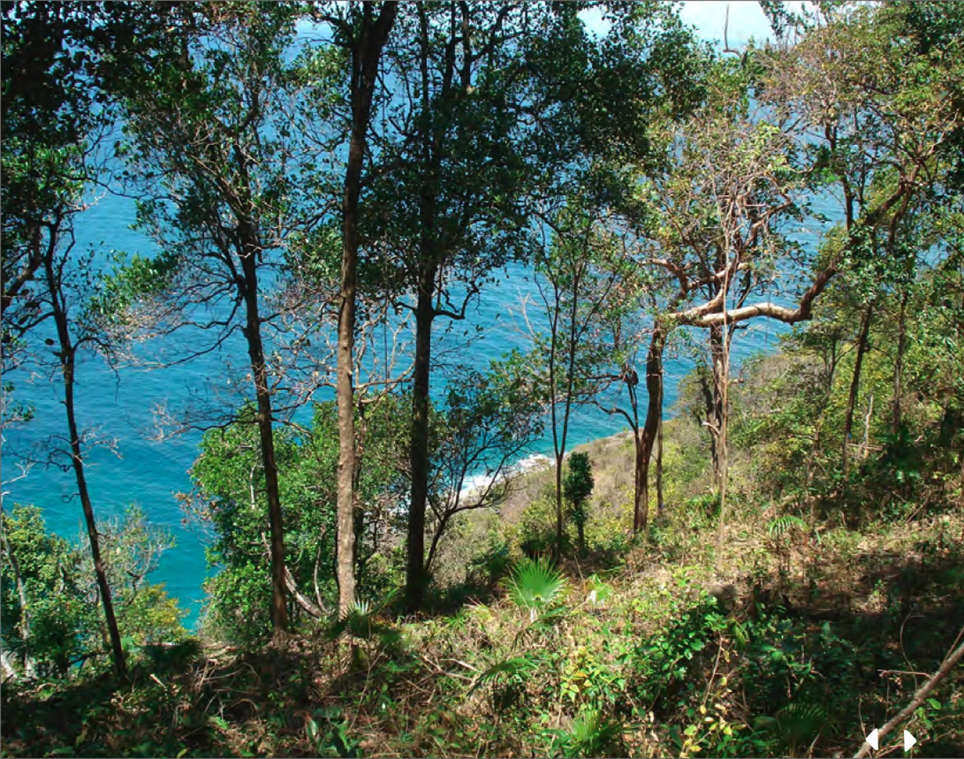 st lucia real estate land for sale Mount Du Cap Lot No 3