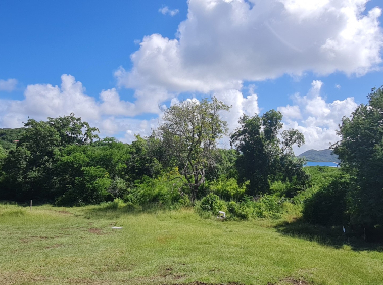 St lucia Realtor Belle Vue Land No. 123 land for sale sea