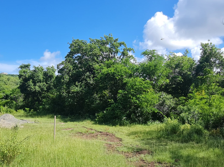 St lucia Realtor Belle Vue Land No. 123 land for sale flat