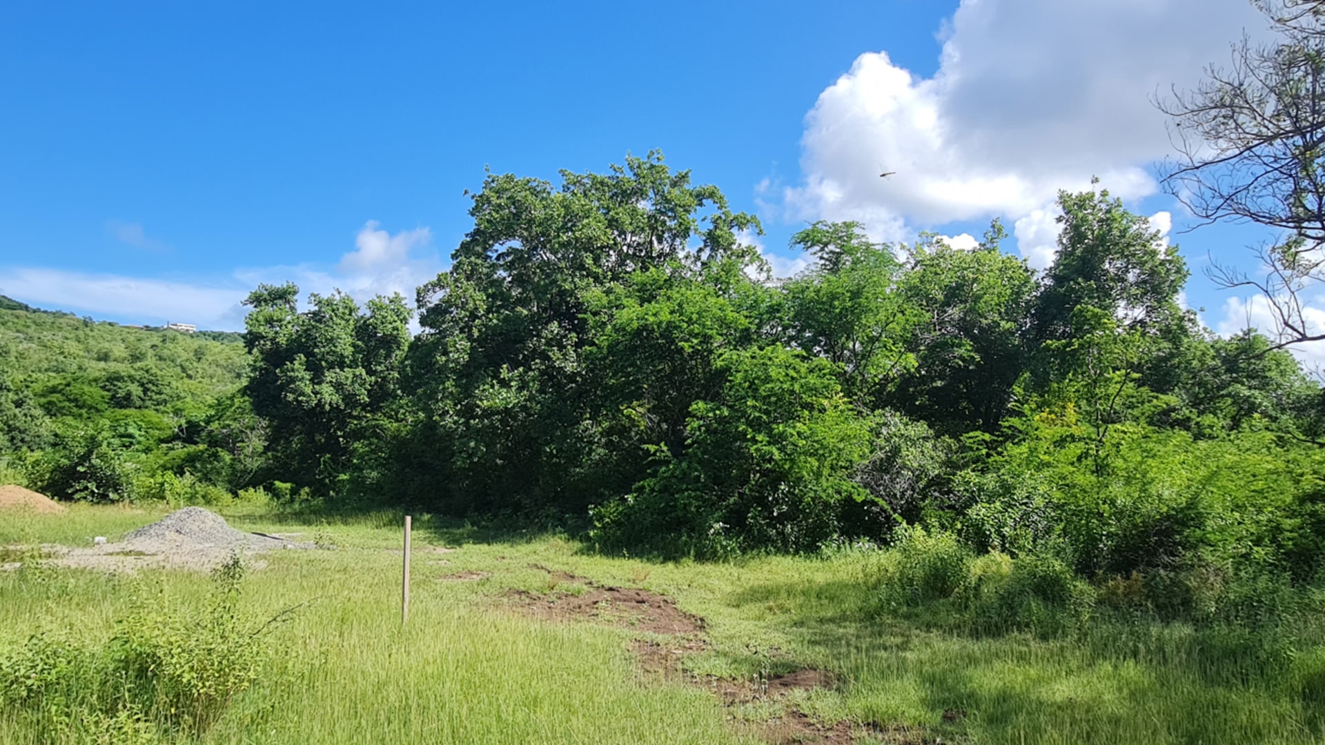 St lucia Realtor Belle Vue Land No. 123 land for sale flat