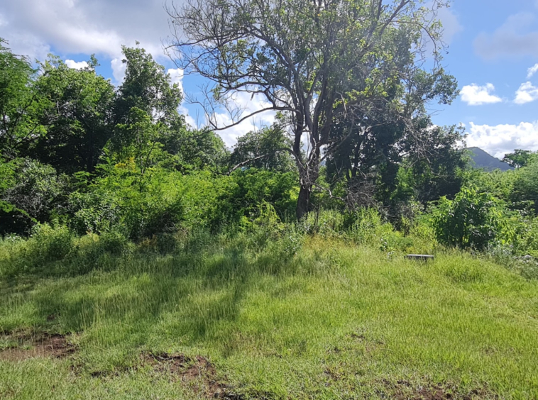 St lucia Realtor Belle Vue Land No. 123 land for sale