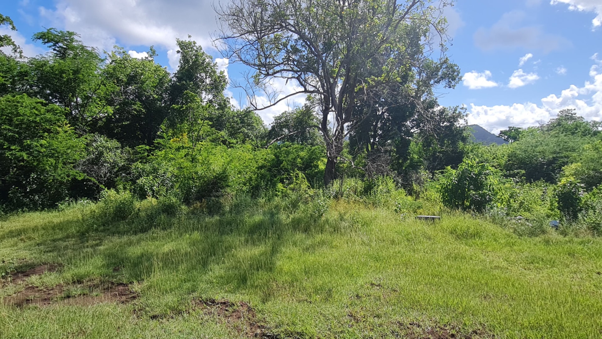 St lucia Realtor Belle Vue Land No. 123 land for sale