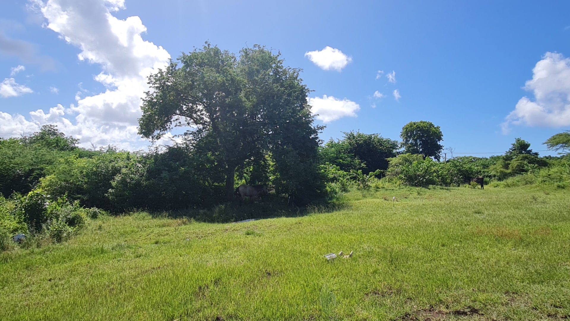 St lucia Realtor Belle Vue Land No. 123 land for sale ready to build