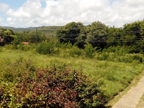 st lucia realtor Golf Park Parcel 100 for sale flT ROad