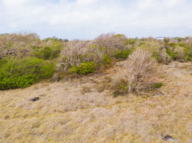 St lucia Realtor Canelles Land No. 102 for sale builders