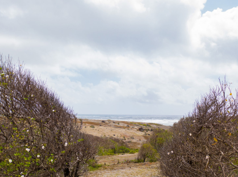 St lucia Realtor Canelles Land No. 102 for sale