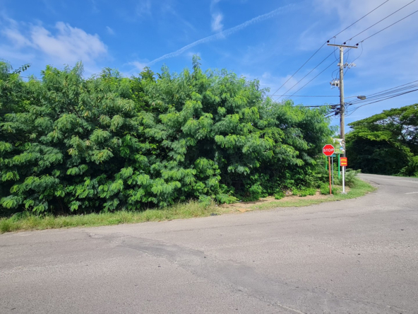 St Lucia real estate Pigeon Island Causeway Land for sale corner