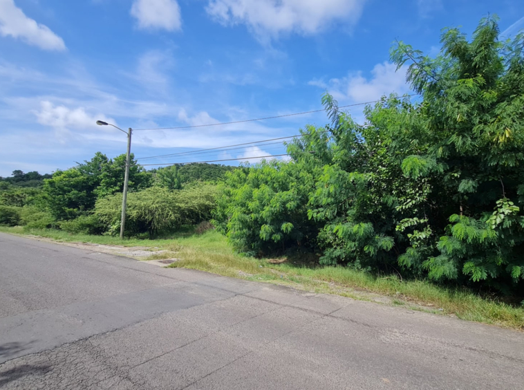 St Lucia real estate Pigeon Island Causeway Land for sale road side