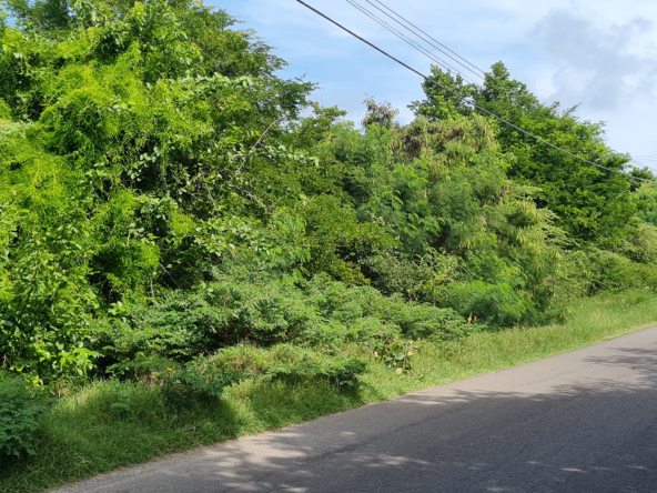 St Lucia real estate Pigeon Island Causeway Land for sale