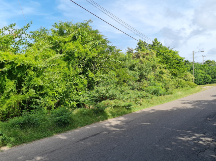 St Lucia real estate Pigeon Island Causeway Land for sale north