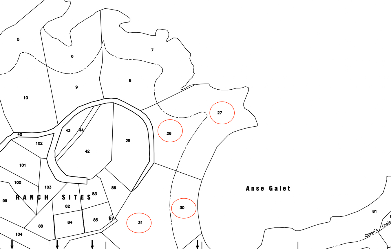 Land For Sale in Mahaut Estate Soufriere For Sale 4 parcels