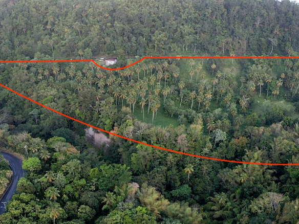 Land For Sale in Choiseul st lucia- 23 Acres