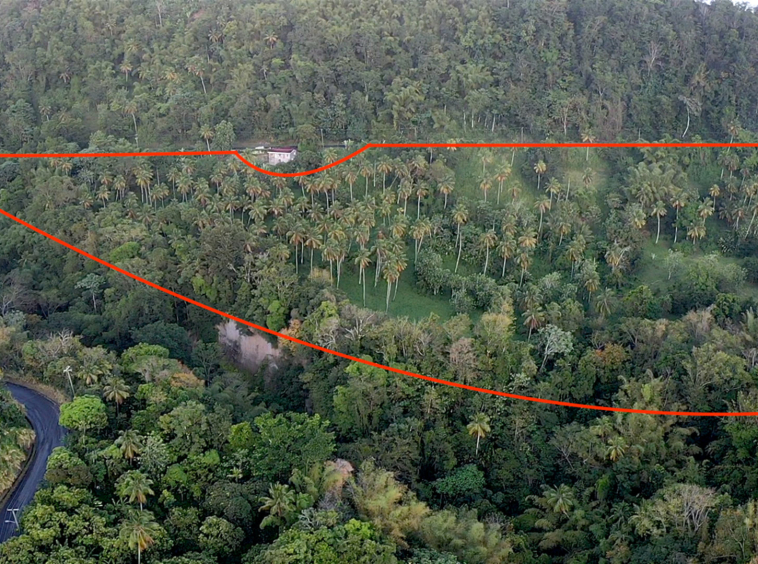 Land For Sale in Choiseul st lucia- 23 Acres