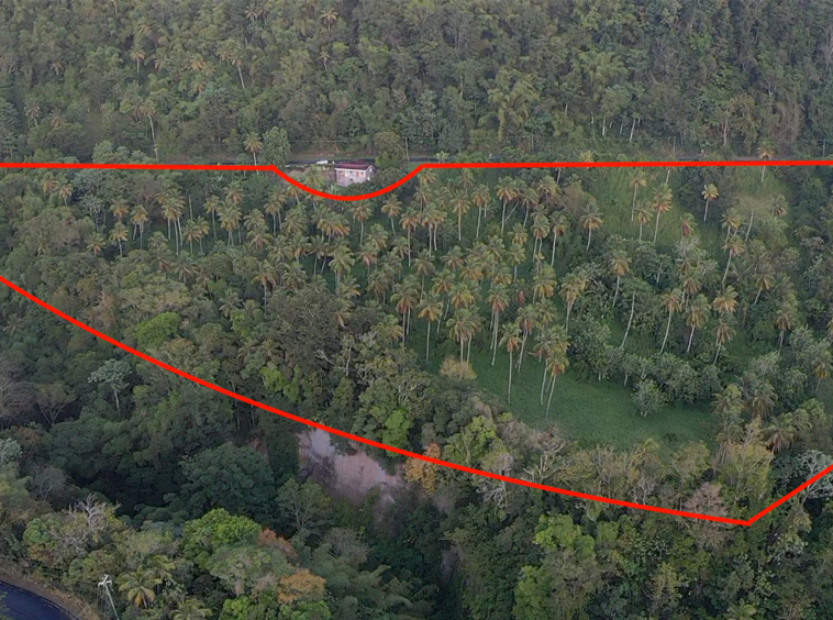 Land For Sale in Choiseul st lucia- 23 Acres for development