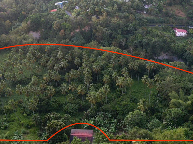 Land For Sale in Choiseul st lucia- 23 Acres aerial