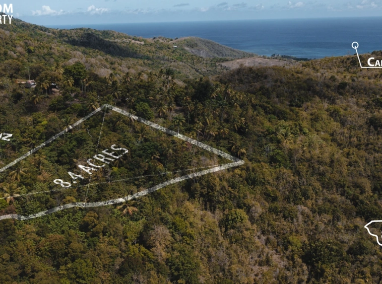 st lucia real estate land for sale Morne Paul Laborie st lucia