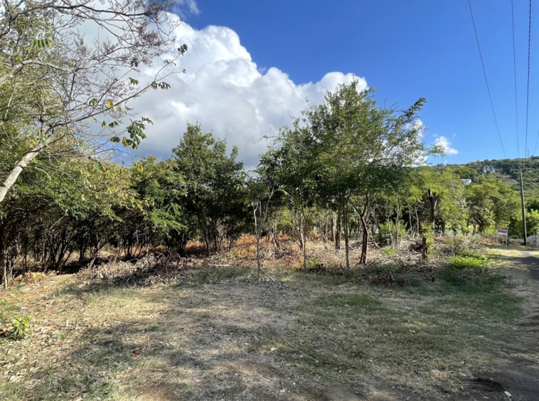 St lucia Realtor Golf Course View Land No 150 for sale flat