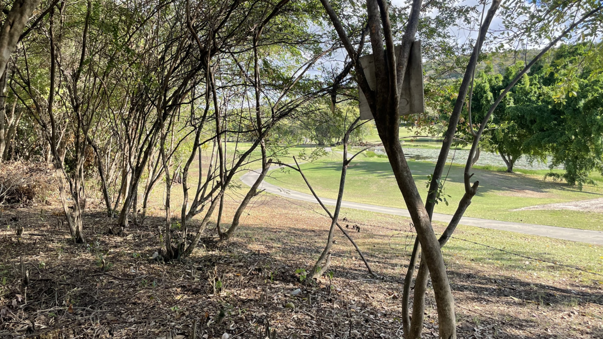 St lucia Realtor Golf Course View Land No 150 for sale trees