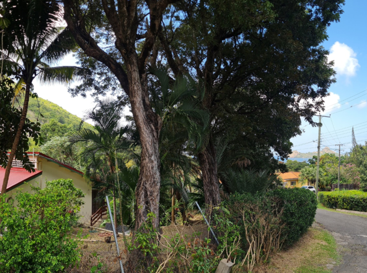 st lucia real estate - villa jolie for sale road
