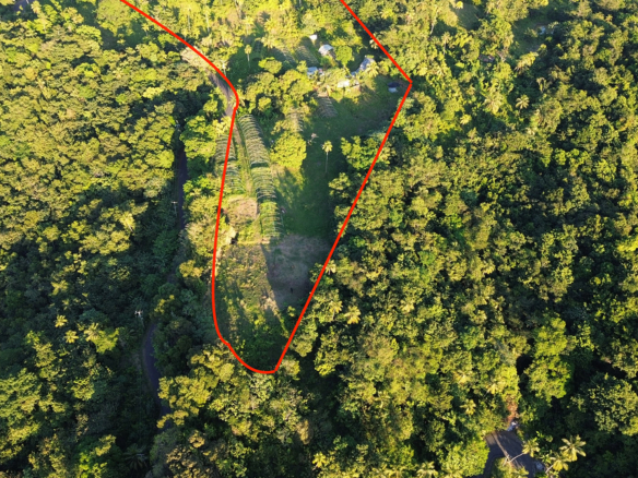 st lucia real Babonneau Agricultural Land No. 34 for sale