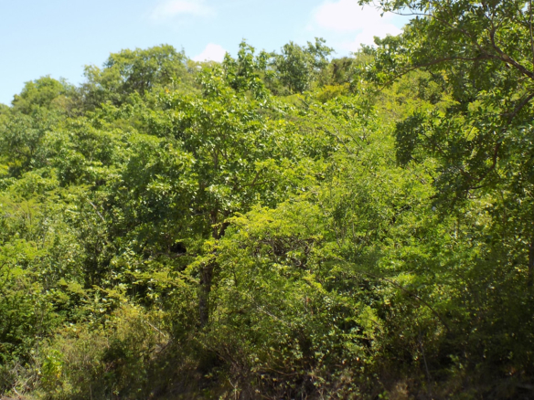 St Lucia real estate South Hills Parcel No 418 for sale