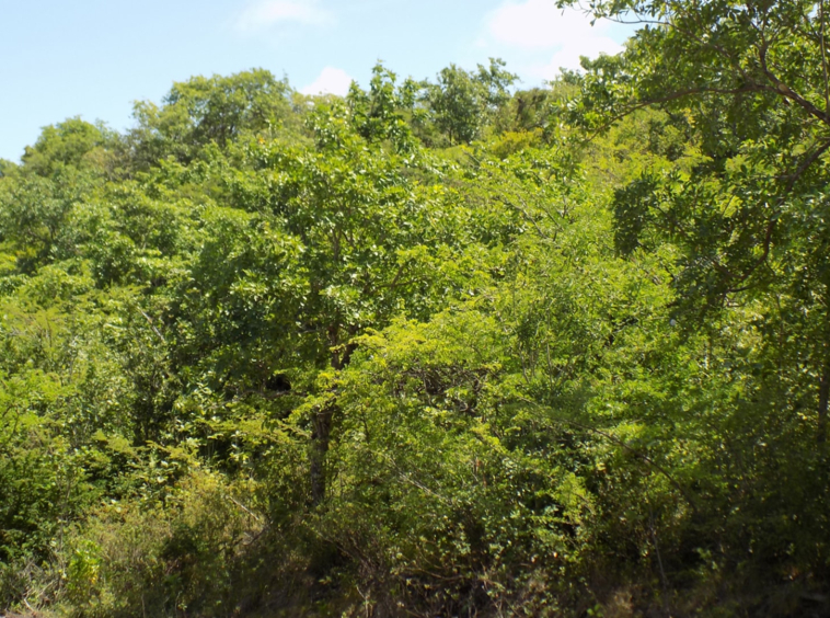 St Lucia real estate South Hills Parcel No 418 for sale