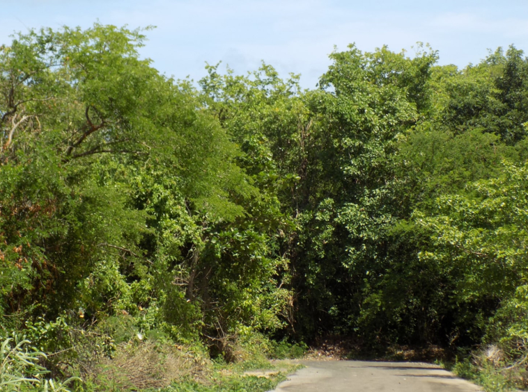 St Lucia real estate South Hills Parcel No 418 for sale cap estate