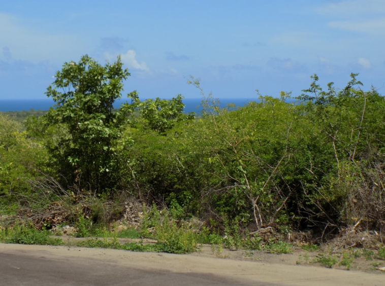 St Lucia real estate South Hills Parcel No 418 for sale cap estate saint lucia
