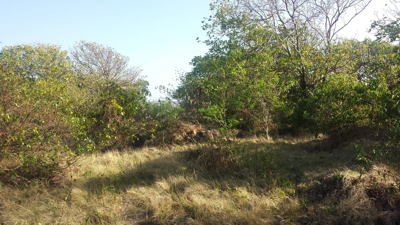 St Lucia real estate Canelles Land No 96 for sale flat