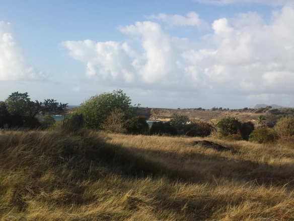 St Lucia real estate Canelles Land No 96 for sale sea view