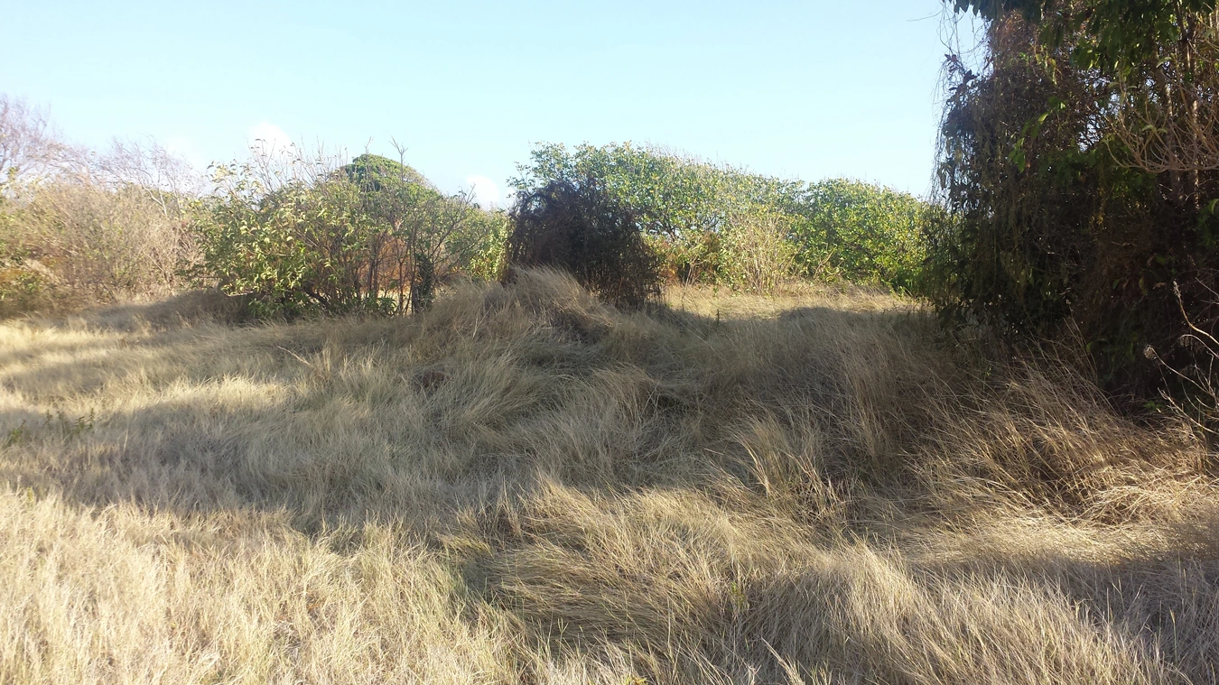 St Lucia real estate Canelles Land No 96 for sale beachfront