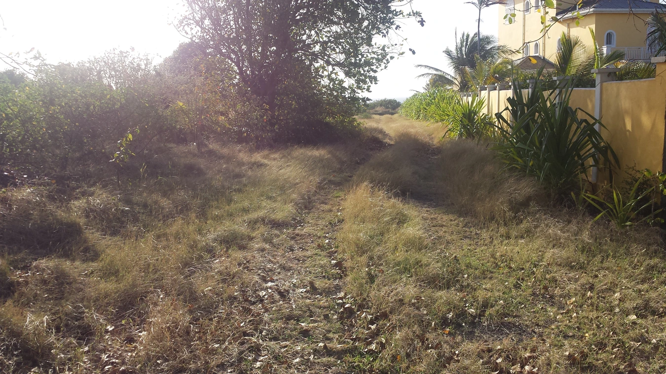 St Lucia real estate Canelles Land No 96 for sale beach front