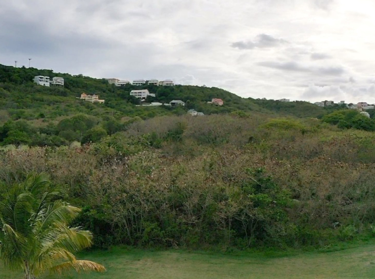 st lucia real estate land for sale Island Villas Site shrubs