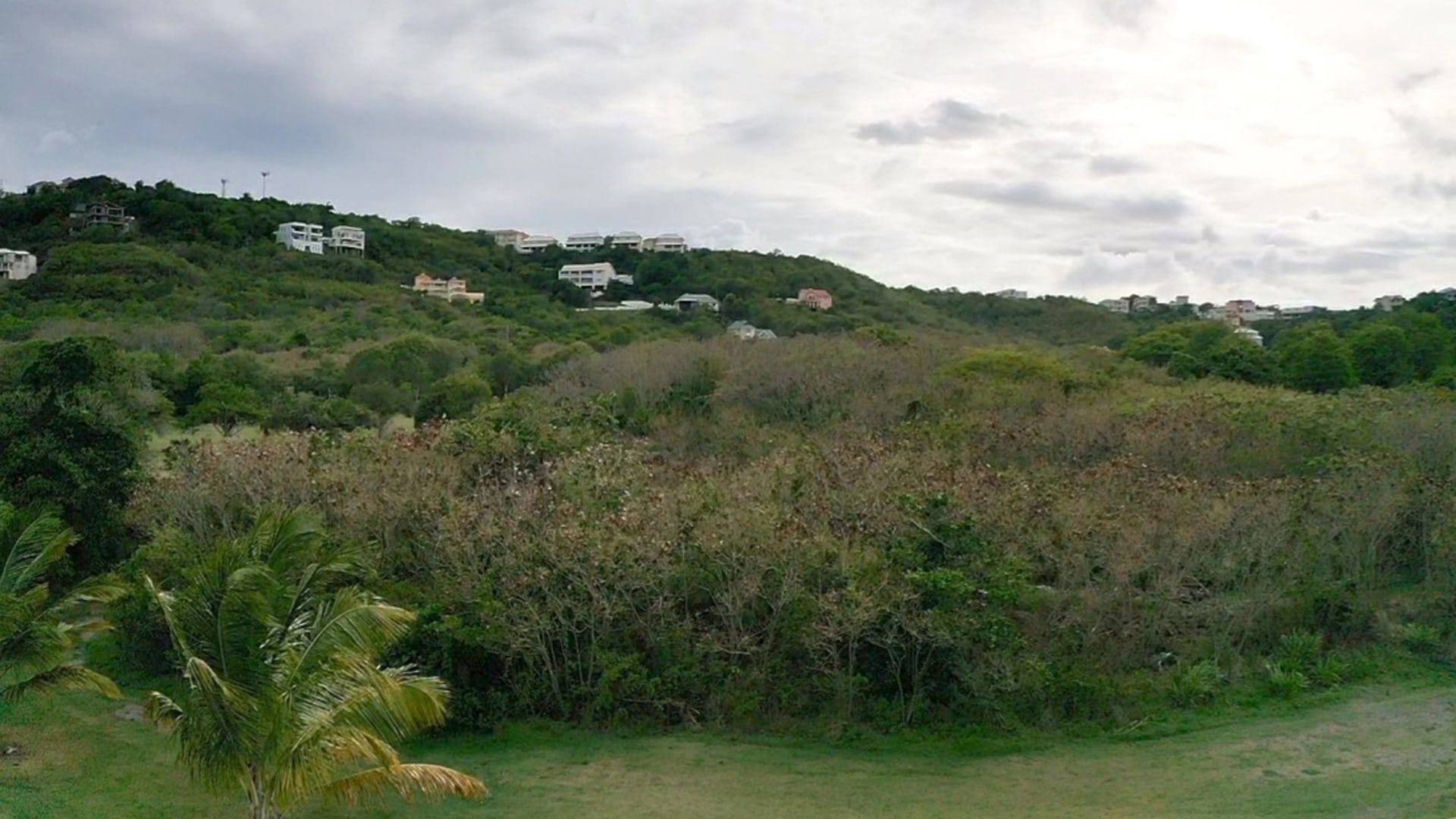st lucia real estate land for sale Island Villas Site shrubs